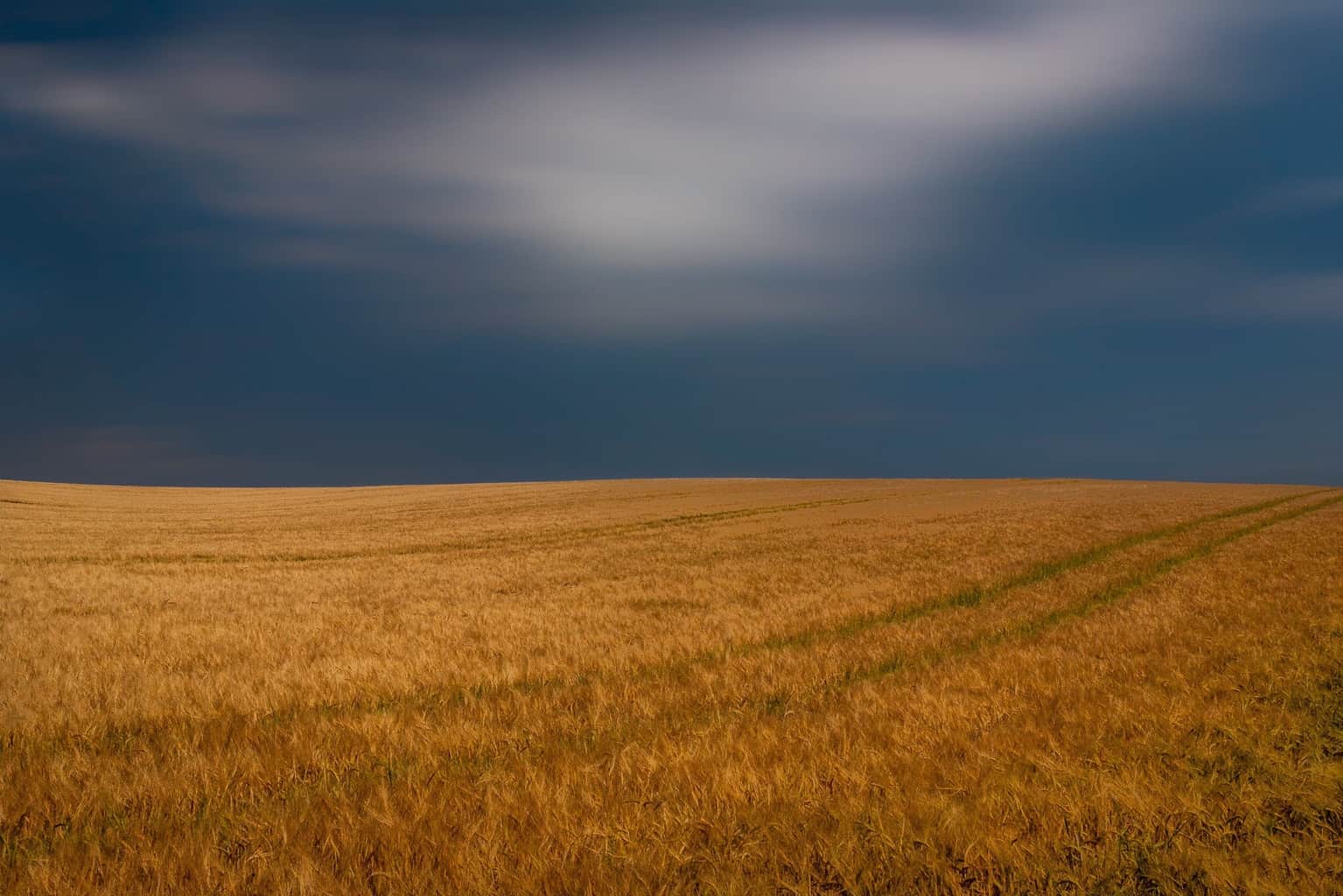  Field, Dorset, by landsacpe photograher Rick McEvoy 
