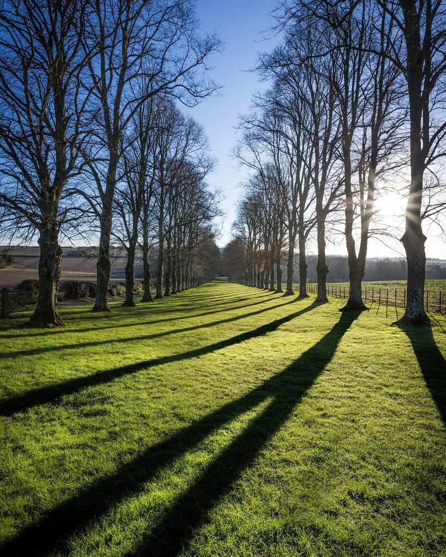  Shadows - Cranborne, Dorset Photography by Rick McEvoy 