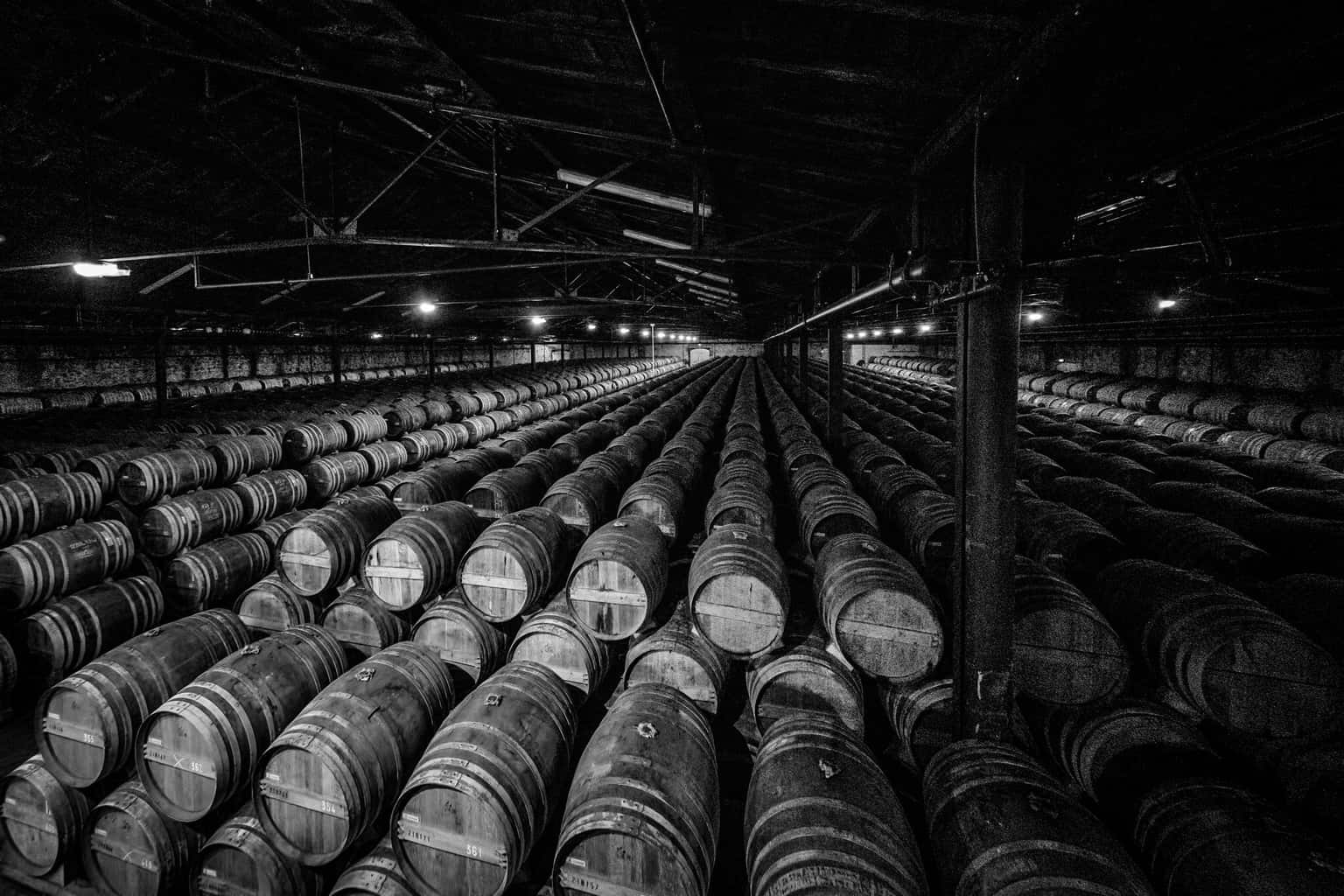  Barrels, Remy Marton. Cognac. France.  