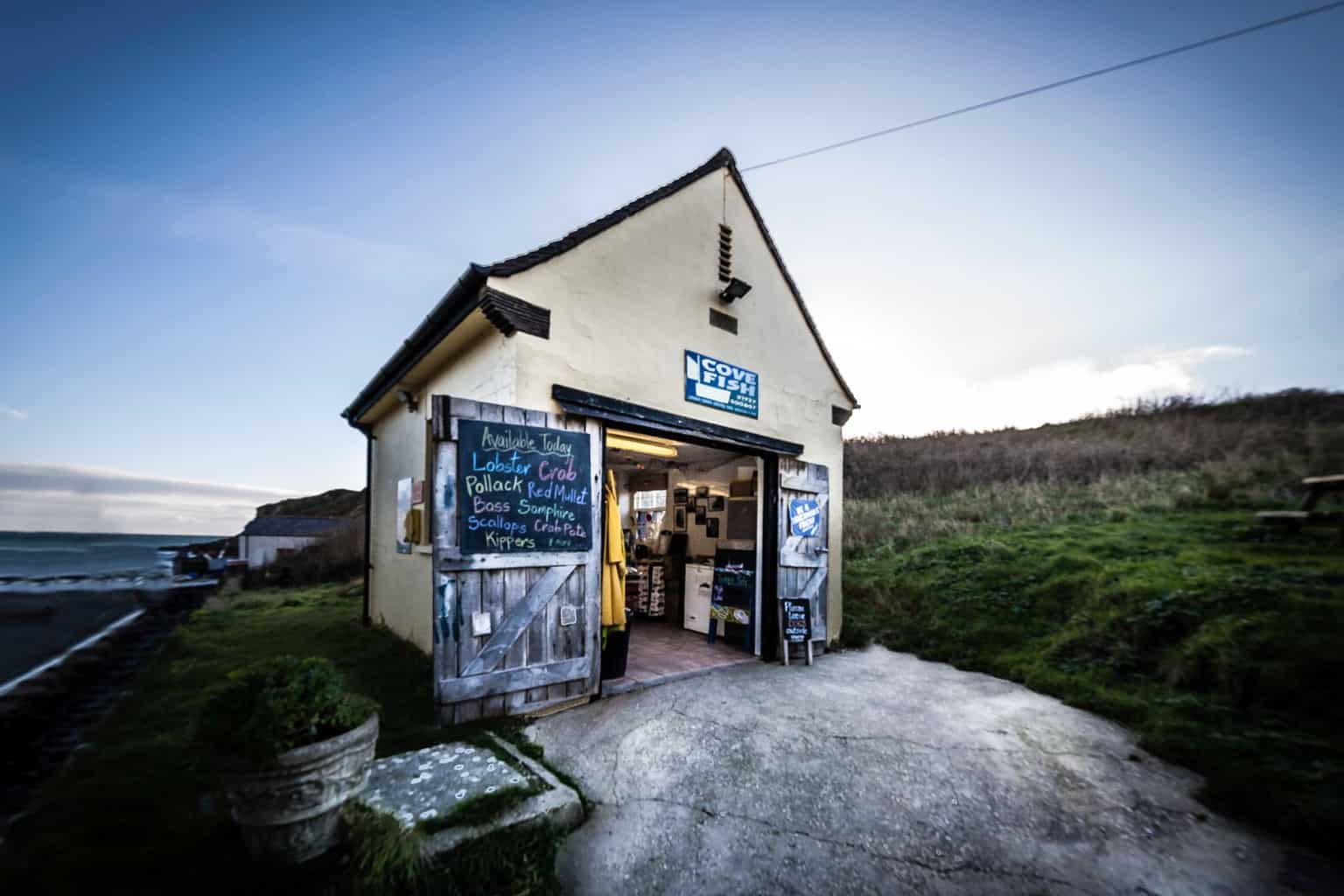  Cove Fish, Lulworth Cove, Dorset 