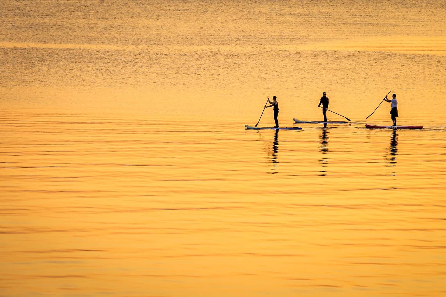  Paddle boarders at sunset, Sandbanks, Poole 
