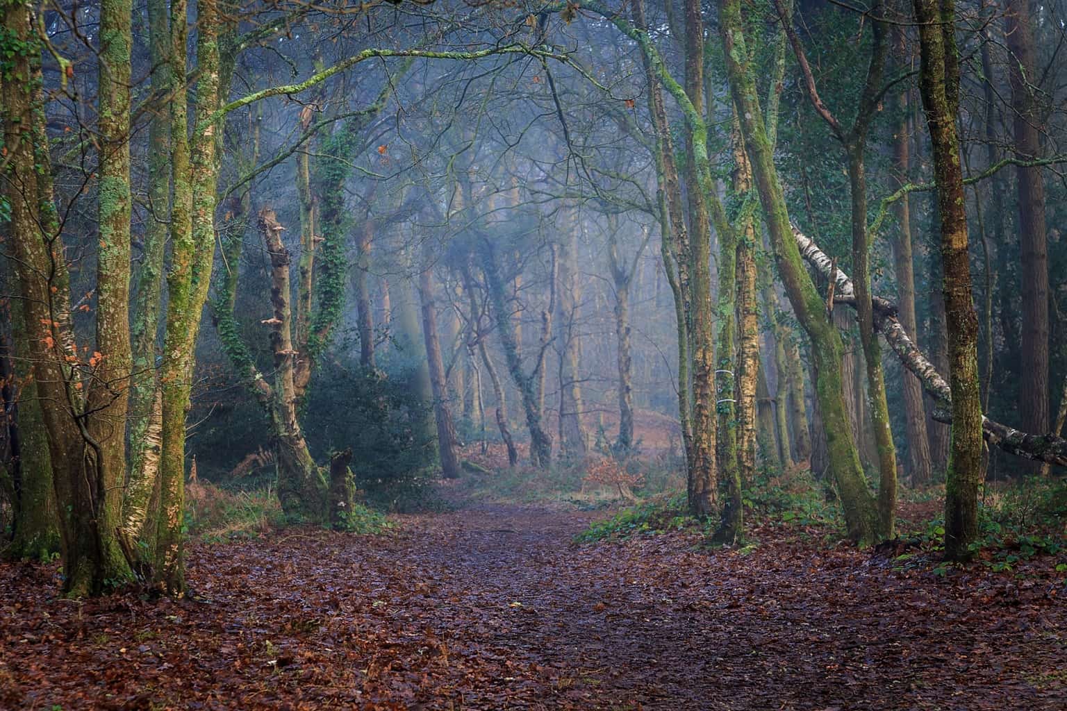  Landscape photography in Dorset by Rick McEvoy 