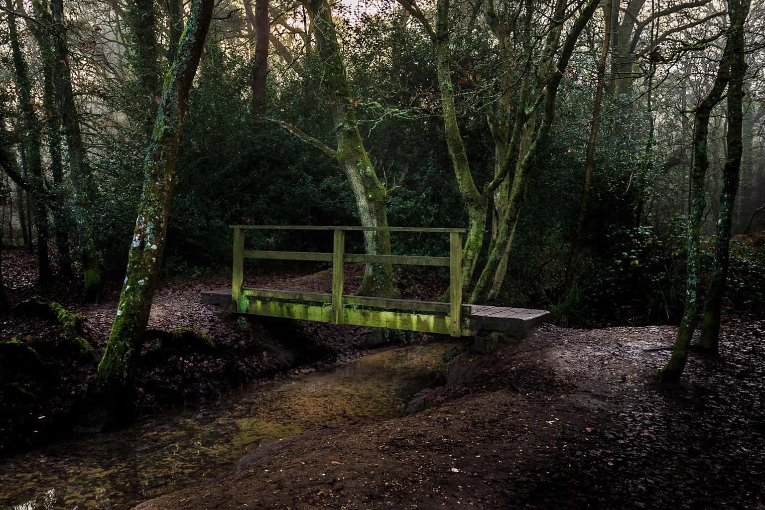  Footbridge in the woods - the original composition 