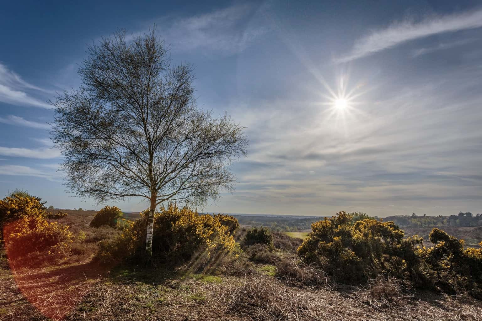  Picture of Picket Post illuminated by the spring sunshine 