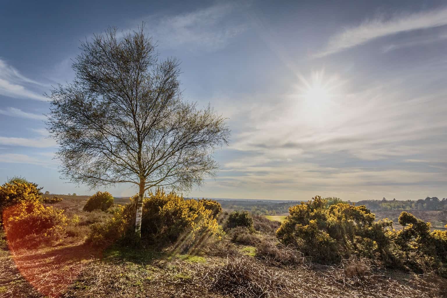  Landscape photography in Hampshire by Rick McEvoy 