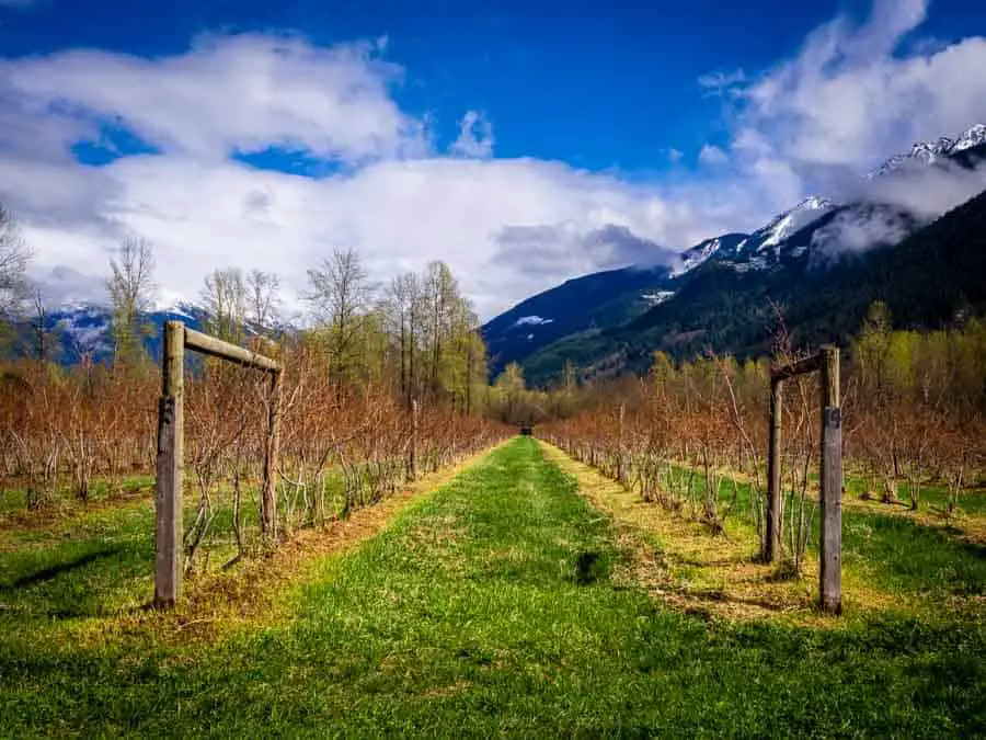  Rural mountain scene, Pemberton, British Columbia 