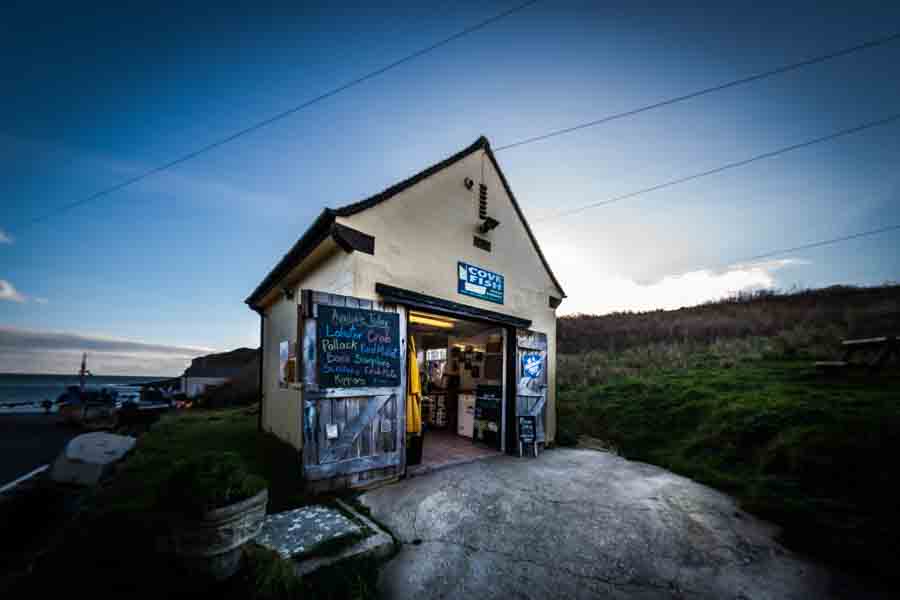 Cove Fish, Lulworth Cove