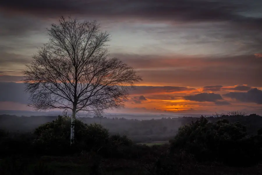 Picture of the sunset at Picket Post in the New Forest