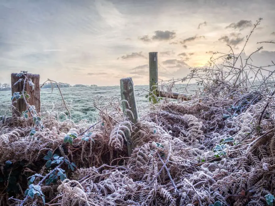  Winter morning landscape captured using my Olympus OMD EM10 camera 